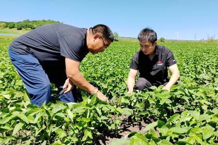 4.保险公司工作人员（右）深入田间地头查核作物长势情况_副本.jpg