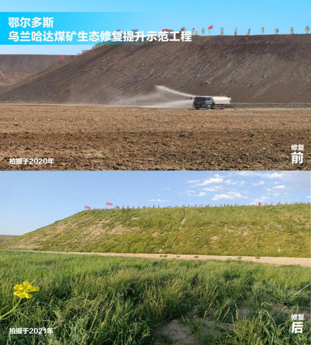 图片5_副本.png