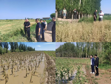 图片1_副本.png