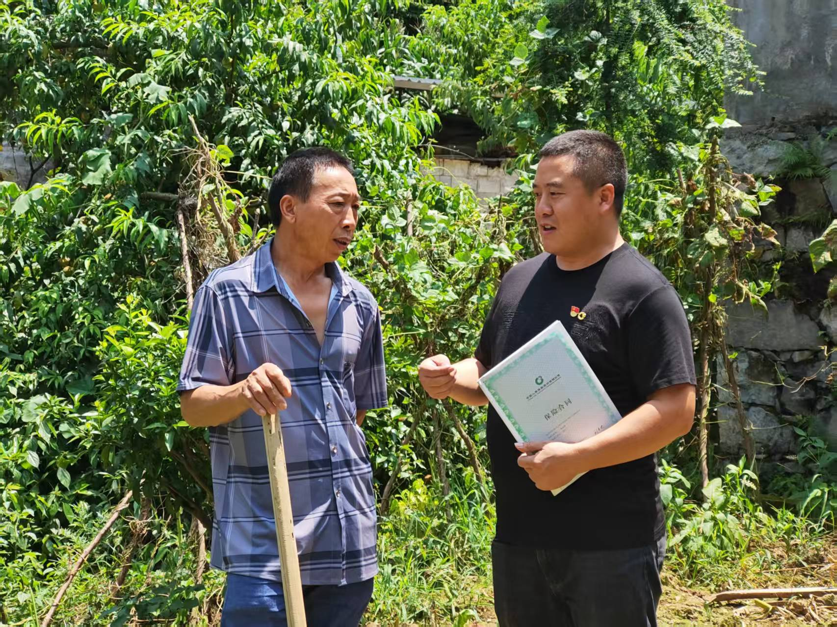 蔡小均：营销员党员如何践行为民初心？