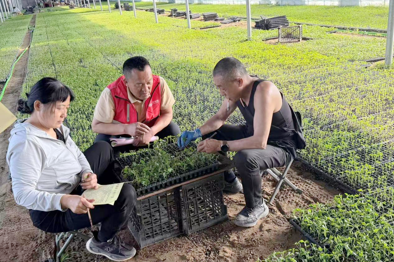 中华财险内蒙古分公司深入开展“金融消保进乡村，数智服务助农耕”主题活动
