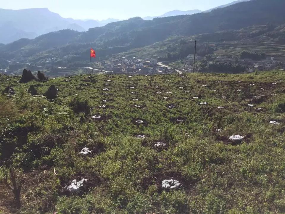 1590717610418702.jpg 贵州盘县石漠化治理工程现场.jpg