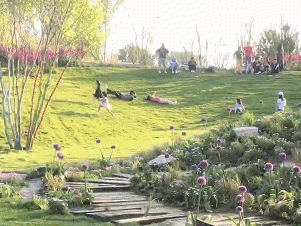 1591347315821382.png Picture 1.png