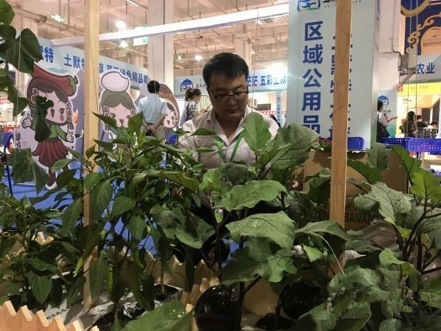 1596418653144393.jpg 微信图片_20200803092827.jpg
