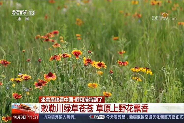 1602667003169828.png 图片1.png