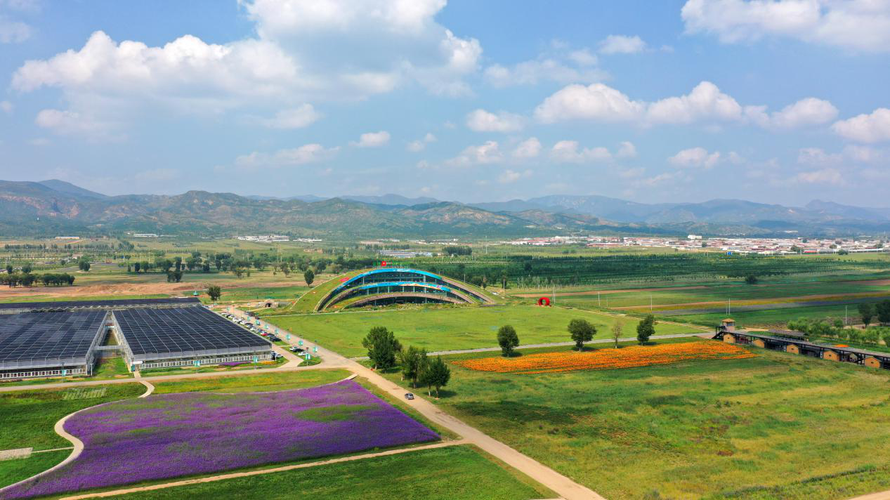 1602731411465384.png 图片5.png