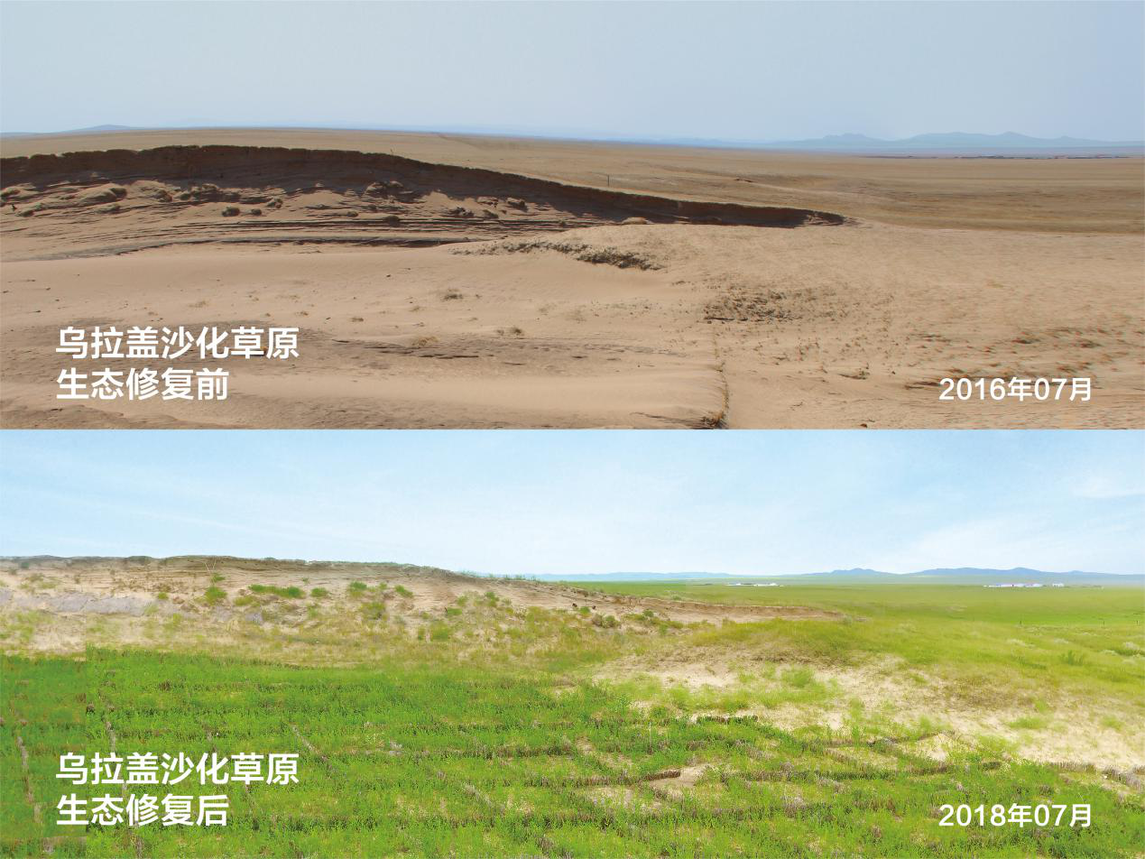 1602731532755661.png 图片10.png