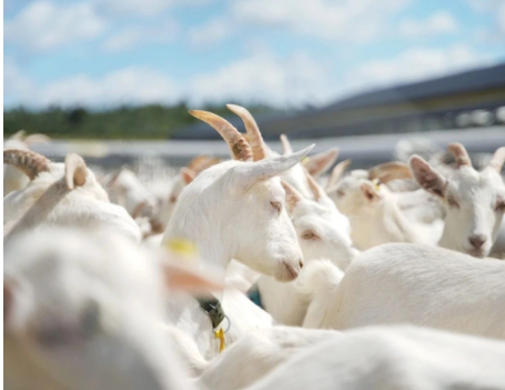 1638148888324939.png image.png