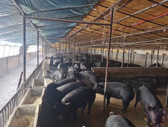 1650509030771227.png image.png