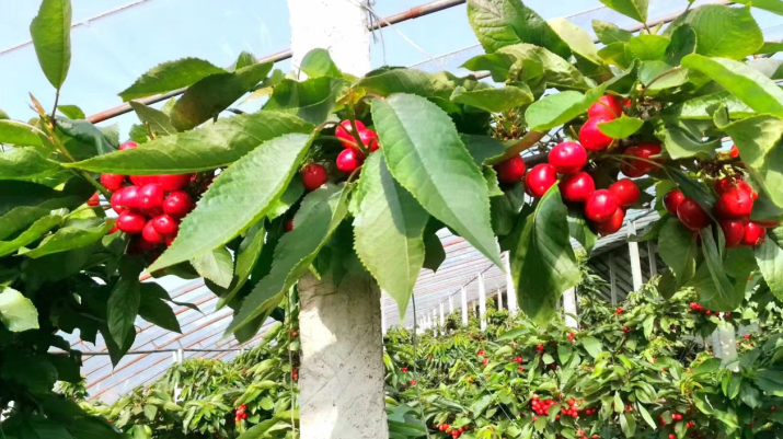 1650509823606641.png image.png