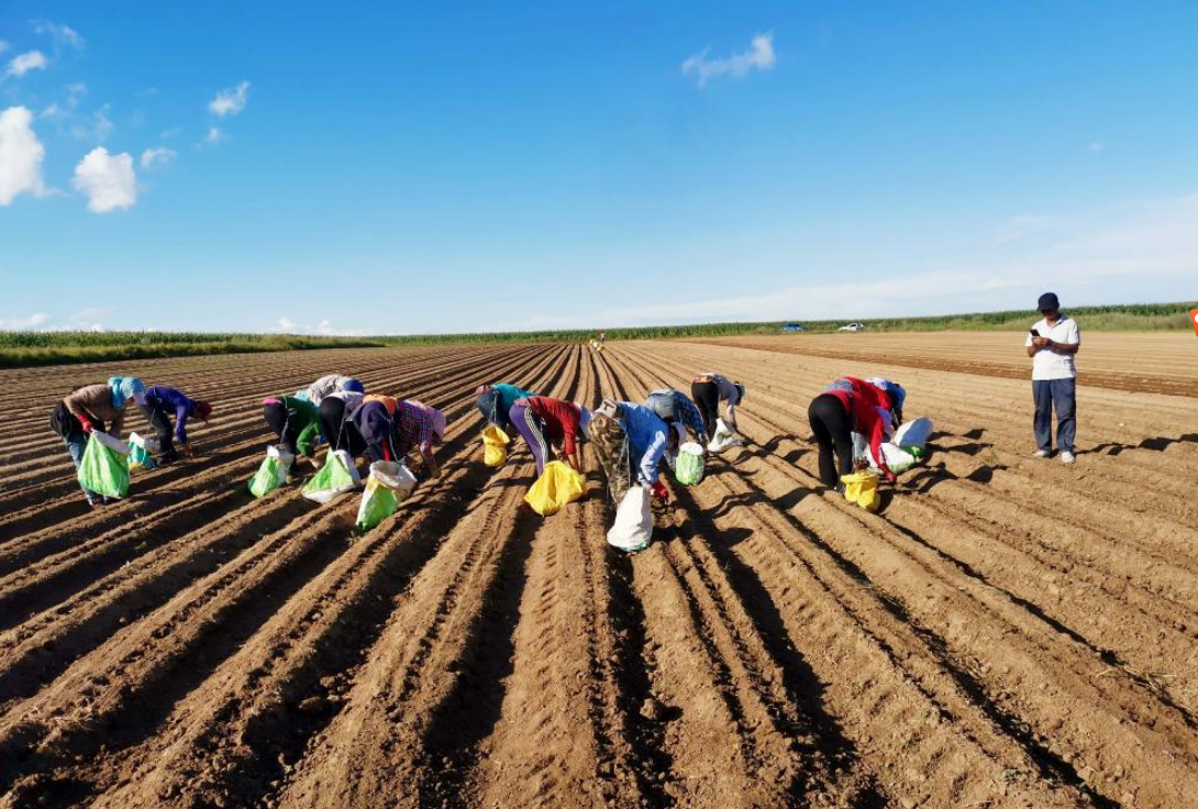 1651024080538393.png image.png