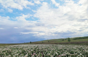 1651028638391496.png image.png