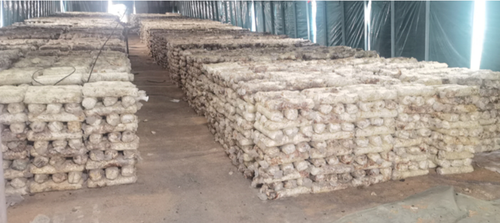 1651909552138518.png image.png