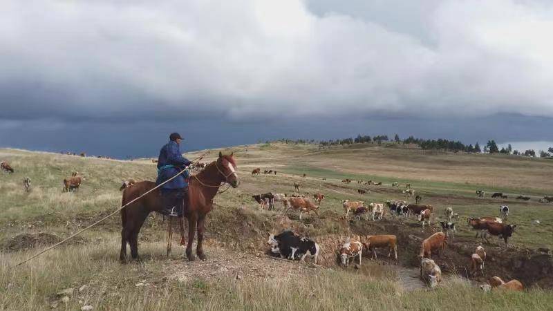 1654501626753970.jpg 微信图片_20220606154201.jpg