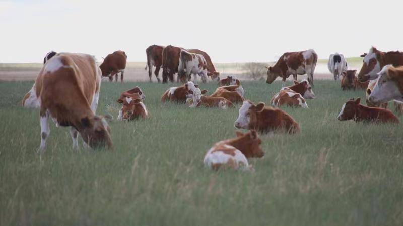 1654501711492455.jpg 微信图片_20220606154209.jpg