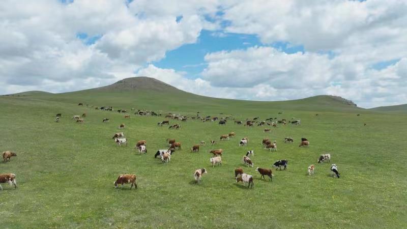 1654501821917383.jpg 微信图片_20220606154215.jpg