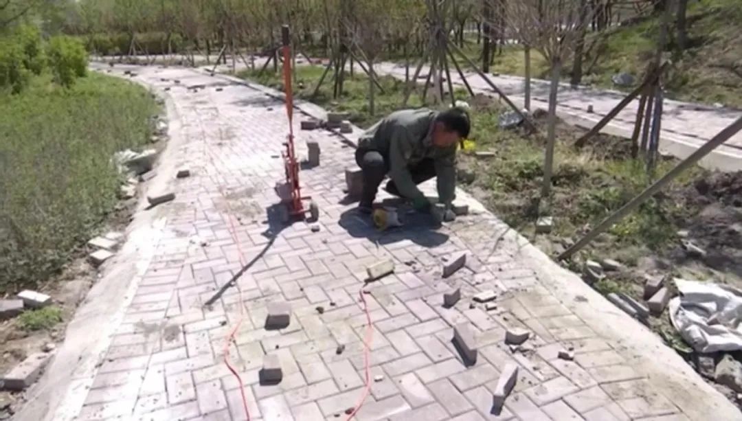 1654572417947547.jpg 1053311137.jpg