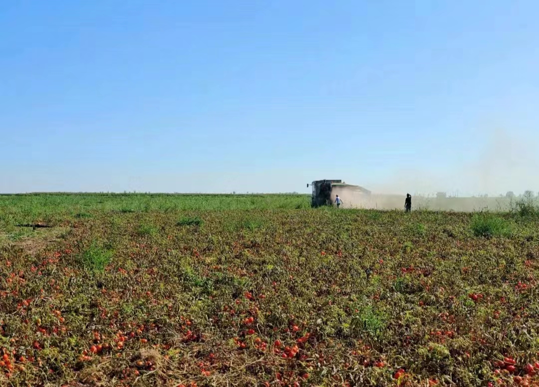 1665119474994334.jpg 4183832d96c865335316a3f68593340.jpg