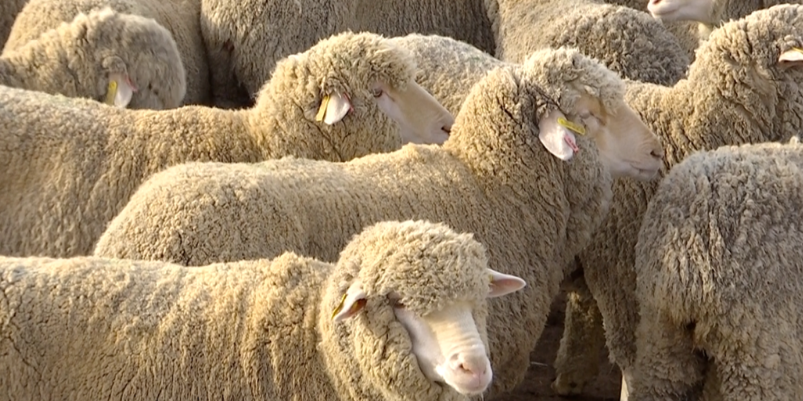 1670462611786711.png 2.png