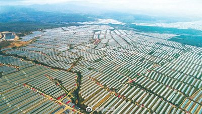 1678343471779886.jpg t013087e3f601a5ee19.jpg