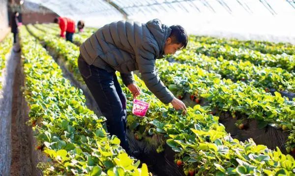 1678937353207434.jpg 微信图片_20230316112728.jpg