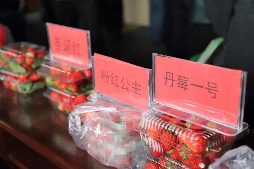 1678937376335794.jpg 微信图片_20230316112810.jpg