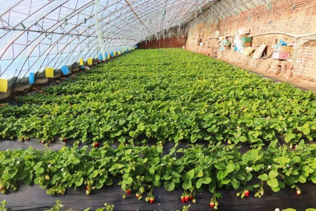 1678937413361653.jpg 微信图片_20230316112814.jpg