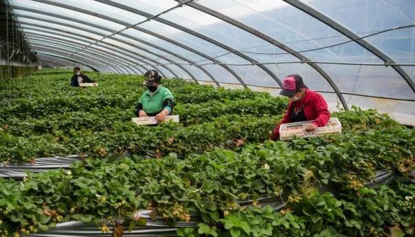 1678937434626711.jpg 微信图片_20230316112817.jpg