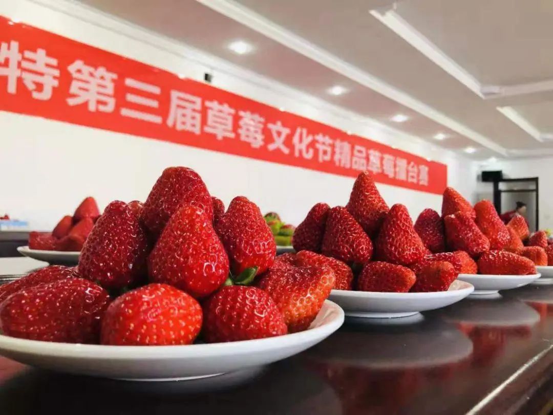 1678937503950207.jpg 微信图片_20230316113056.jpg