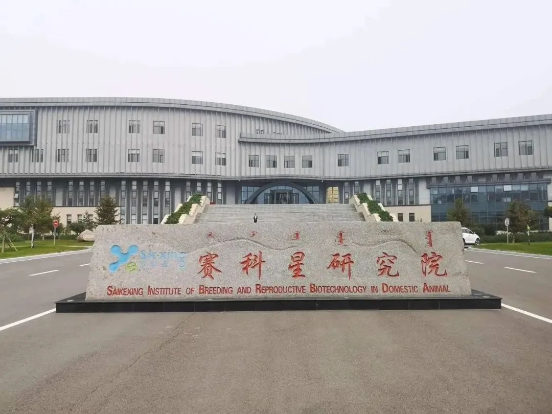 1681798250600300.jpg 4.jpg