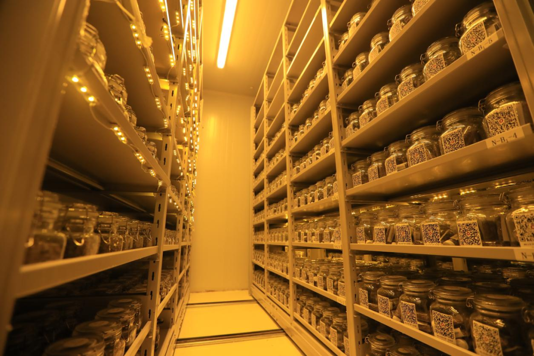 1681809879354898.png 图片3.png