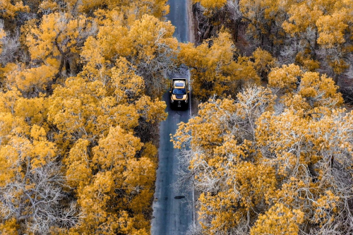 全性能家族万里穿越G219 长城炮深耕用户共创打造中国特色皮卡文化第8张