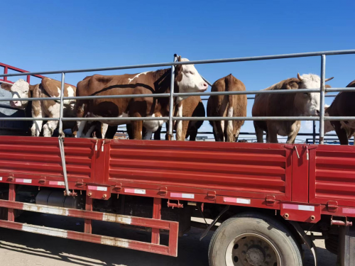 充分运用主题教育成果   全面推进乡村振兴工作第2张