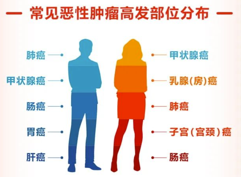 1708400470600841.png 图片3.png