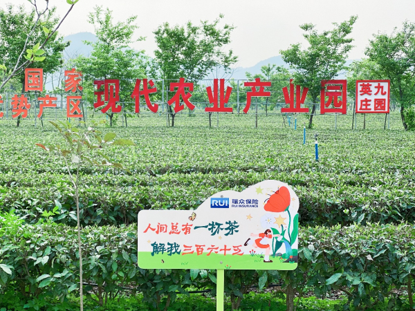 1711598026961010.png 图片21.png