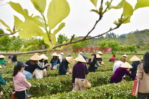 1711598072448682.png 图片22.png