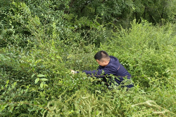 1725003528555032.png 图片2.png