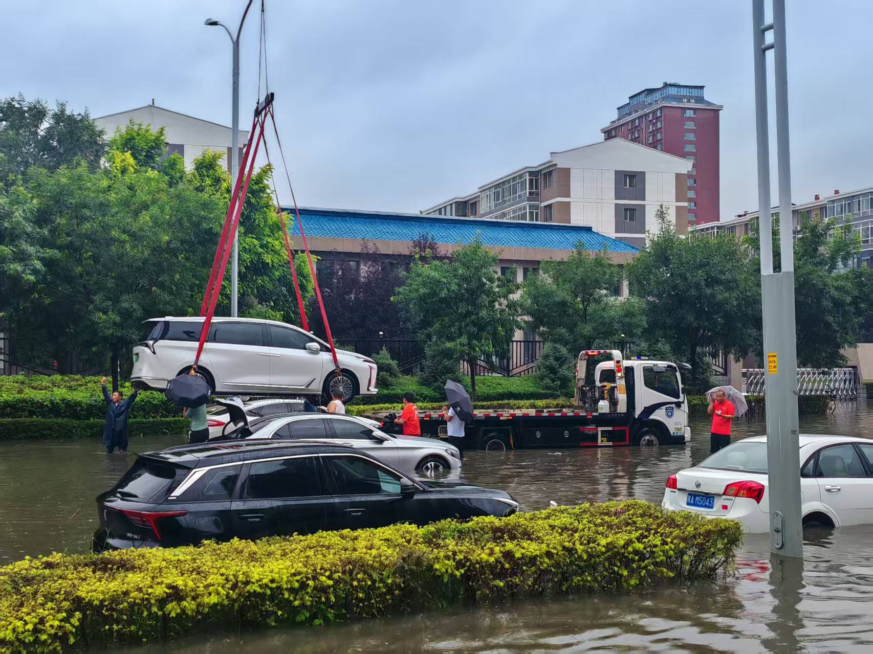 微信图片_2025-07-28_152026_601.jpg