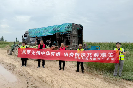微信图片_20250808092643.png