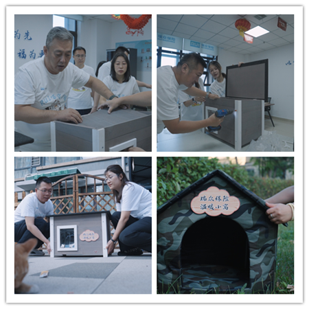 图片9_副本.png