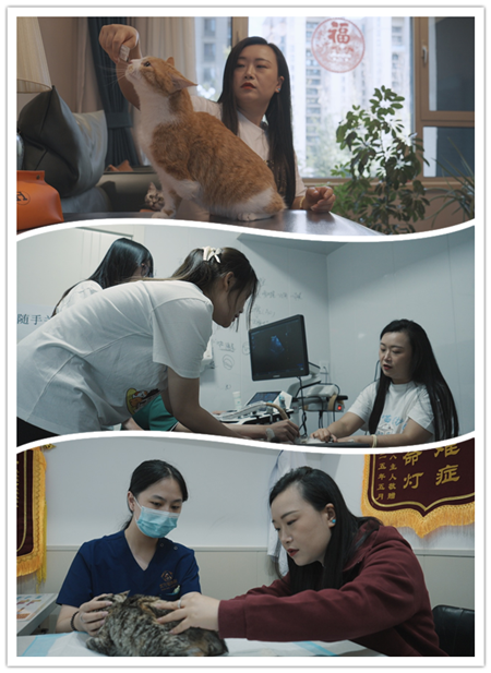 图片1111_副本.png