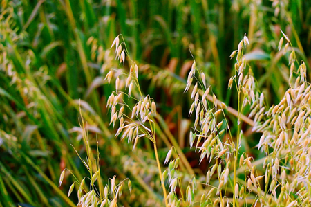 1762416855175270.png 图片3.png