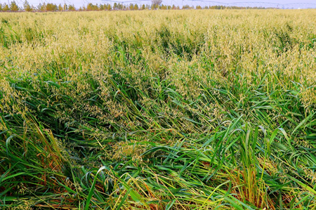 1762416861463953.png 图片2.png