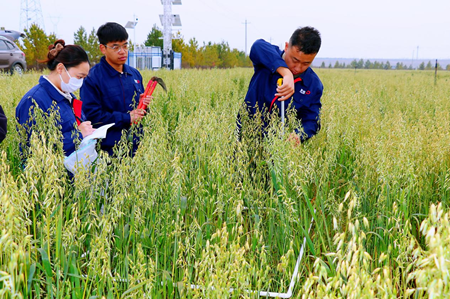 1762416875375703.png 图片1.png