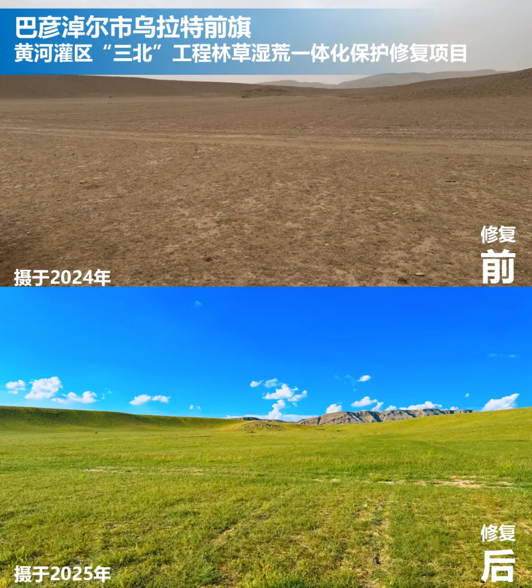 1763947037747797.png 图片7.png