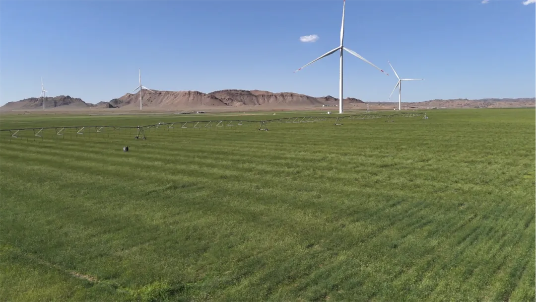 1763947177435468.png 图片2.png