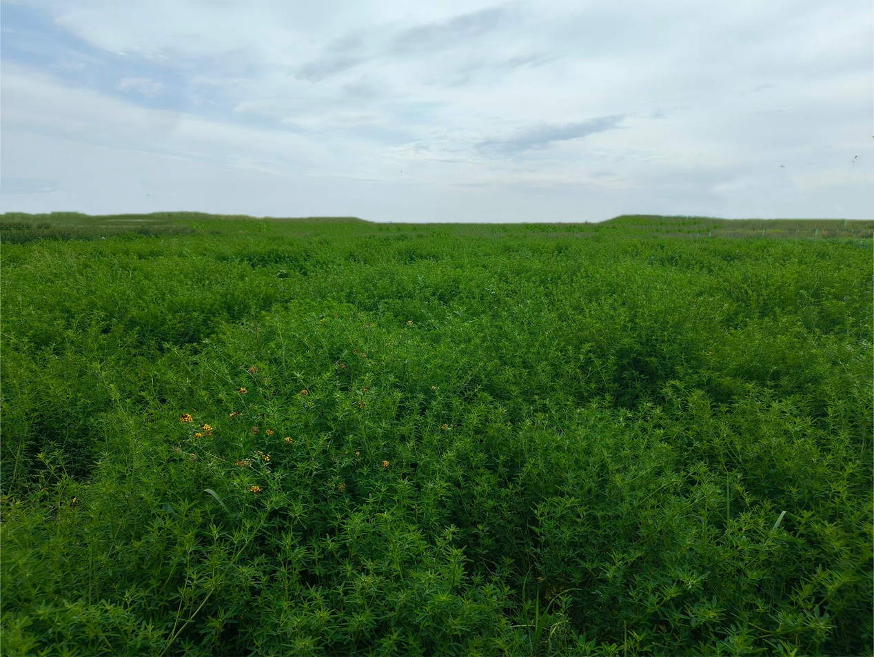 1764141737476078.png 微信图片_20251126151904_1481_142.png