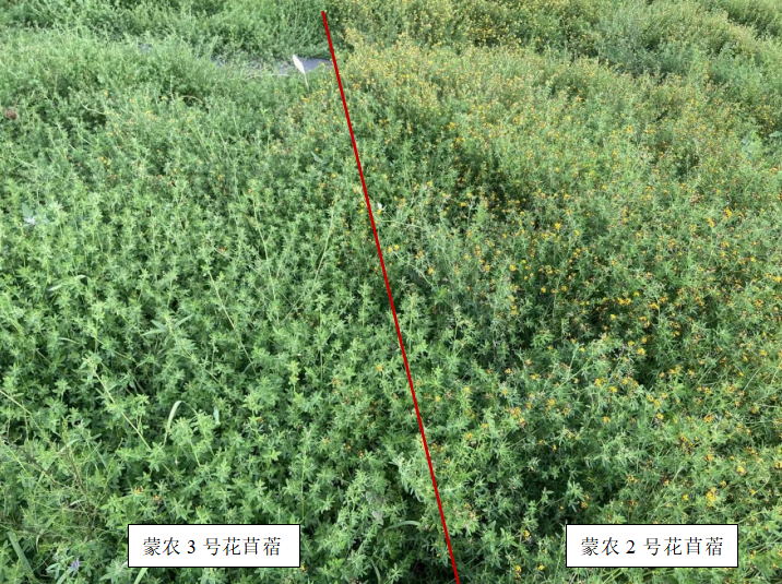 1764141766588534.png 微信图片_20251126151905_1483_142.png