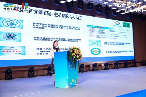 呼伦贝尔大草原品牌神州行暨农垦臻选优品年货节正式启幕第2张-西部新闻网 呼伦贝尔大草原品牌神州行暨农垦臻选优品年货节正式启幕第2张