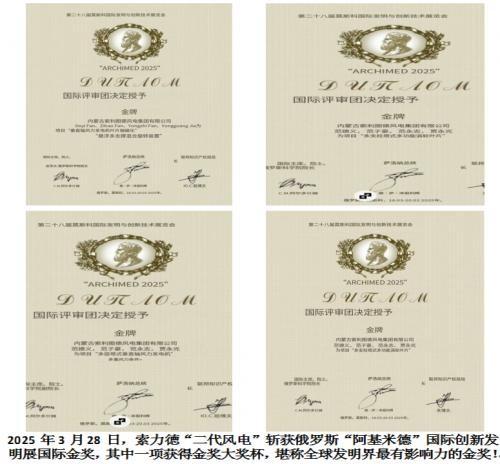 索力德“二代风电”中国力量以科技创新引领全球风电未来第5张